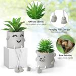 Set van 2 in pot, mini-kunstplant nepvetplanten met hangende poten, emotioneel cement potplant faux decoratieve plant voor thuis, kantoor, tafeldecoratie boekenkast