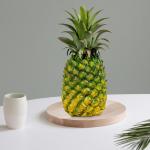 Authentische Ananas Skulptur, Kunstobst Deko für Zuhause, Elegantes Ornament, 10cmx24cm