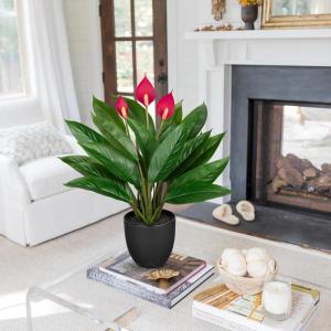 Kunstplant als echte kunstplant, decoratieve plant Calathea, struikachtig met 22 bladeren in kunststof pot, kamerplant, hoogte 43 cm, groen