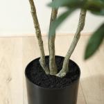 Kunstolijfboom, 180 cm, kunstplant olijfboom met natuurlijke houten stam en levensechte vruchten voor thuis- en kantoordecoratie, grote voor binnen, 1 verpakking