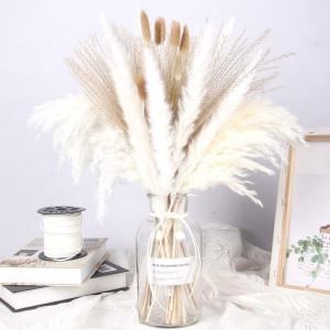 Pampas gedroogde bloemendecoratie, natuurlijk, 67 stuks, doe-het-zelf, gedroogde bloemen, boeket, ideaal voor boho, woonkamer, bruiloft, slaapkamer en vazen (LZGSGO-0102)