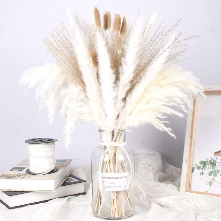 Pampas gedroogde bloemendecoratie, natuurlijk, 67 stuks, doe-het-zelf, gedroogde bloemen, boeket, ideaal voor boho, woonkamer, bruiloft, slaapkamer en vazen (LZGSGO-0102)
