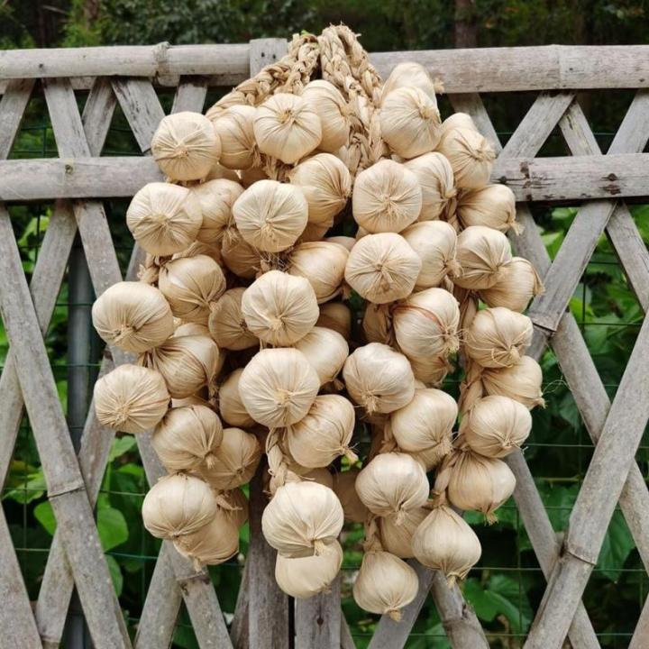 Halloween Ready Set mit 5 künstlichen Knoblauchdekorationen aus stabilem Schaumstoffmaterial für lange Haltbarkeit (weißer Knoblauch)