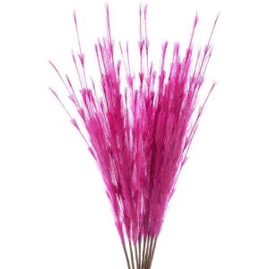 5 stks Kunstbloemen, Pampas Gras Larg Ascendant Gras Nep Bloemen Gras voor Bruiloft Boeketten Home Party Hotel Centerpieces Decoraties, Rood