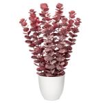 Kunstplant eucalyptus rode kunstplant als echte kamerplanten decoratieve planten in witte pot, hoogte 40 cm