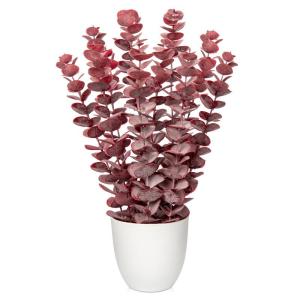 Kunstplant eucalyptus rode kunstplant als echte kamerplanten decoratieve planten in witte pot, hoogte 40 cm