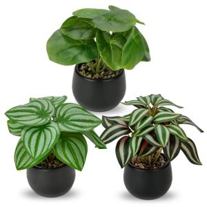 Set van 3 als echte kunstkamerplanten, decoratieve planten voor woonkamer, badkamer, hoogte ca. 15 cm, in zwarte keramische pot