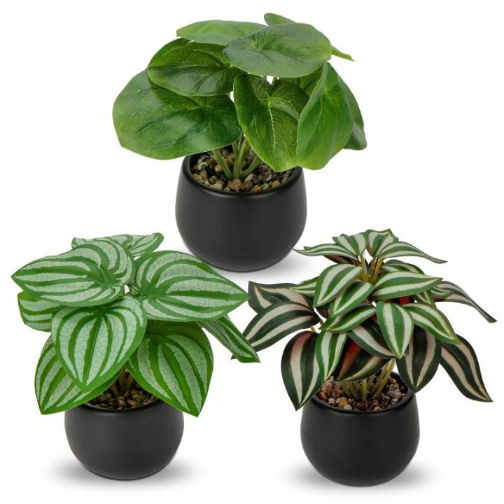 Set van 3 als echte kunstkamerplanten, decoratieve planten voor woonkamer, badkamer, hoogte ca. 15 cm, in zwarte keramische pot