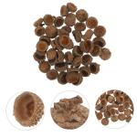 100 STK Trockene Eichelverzierung Griffe Füllstoffe Eichel Christbaumschmuck Vase Eichelfüller Eichel Weihnachtsschmuck Heimdekoration Eichel Handwerk Eichel Kranz Ornament Bausa