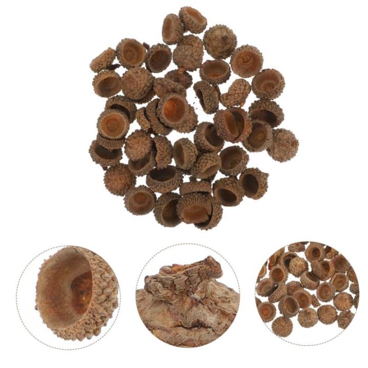 100 STK Trockene Eichelverzierung Griffe Füllstoffe Eichel Christbaumschmuck Vase Eichelfüller Eichel Weihnachtsschmuck Heimdekoration Eichel Handwerk Eichel Kranz Ornament Bausa