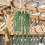 45,7 cm hangende planten kunstmatige vetplanten, hangende plant met geweven katoenen touw, decoratieve voor thuis badkamer decor