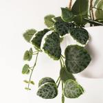 Ontwerp kunstmatige hangende planten