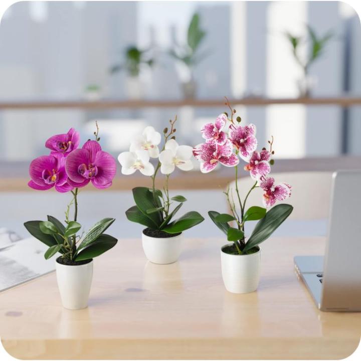 in pot (35 cm), set van 3 kunstorchideeën, kunstmatig afgestemde arrangement in hoogglans-keramische potten, decoratieve bloemen, kunstorchideeën (wit-rosé)