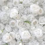 Künstliche Blumenwand Mit Weißen Rosen, 3D-Wandblume Mit Stoffrücken, Seidenhortensie, Blumenwandpaneel, Verwendet Für Hochzeit, Gartenwand, Kirchenwand, Party, Bühne(2x2m/6.5