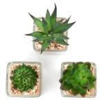Kunstplant kunstmatige vetplant kamerplant decoratieve woonkamer, badkamer decoratieve plant vetplant, hoogte 10,5 cm, in glazen pot, set van 3