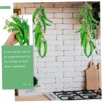 1 Satz Künstlicher Pfeffer Wand Polsterung Wohnungsdeko Weihnachtspaprika-Ornamente Falscher Roter Pfeffer Simulation Gefälschtes Gemüse Pfefferverzierung Schaum Green 4 Saiten