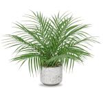 Kleine in pot, 40,6 cm, als echt, kunstkamerplanten voor thuis, kantoor, hotel, boekenwinkel, café, moderne decoratie