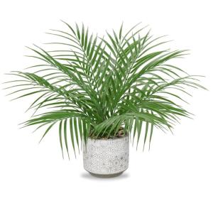 Kleine in pot, 40,6 cm, als echt, kunstkamerplanten voor thuis, kantoor, hotel, boekenwinkel, café, moderne decoratie
