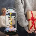 Moederdagcadeaus voor mama, eeuwige roos in glas, mooie en het beestroos, cadeau voor vrouwen, unieke cadeaus voor vrouwen, verjaardag, Thanksgiving, Valentijnsdag, jubileum, Kerst