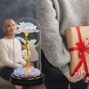 Moederdagcadeaus voor mama, eeuwige roos in glas, mooie en het beestroos, cadeau voor vrouwen, unieke cadeaus voor vrouwen, verjaardag, Thanksgiving, Valentijnsdag, jubileum, Kerst