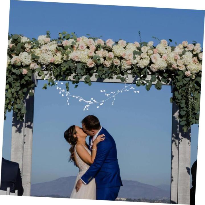 3 Stück Kristallperlen Blumen Hochzeit DIY Acryl Blumenzweig Hochzeit Blumenhandwerk Acryl Ranke Acryl Zweig Acryl Perlen Blumenzweig Blütenknospenzweig DIY Zubehör