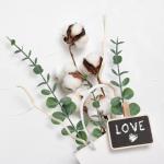 30 stuks kunstmatige eucalyptusbladeren, decoratie, eucalyptus, takken, , eucalyptussteel, zilveren dollar, namaakplant voor bloemstuk, tafeldecoratie, bruiloft