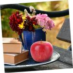 3 Sätze Künstlicher Apfel Simuliertes Apfelmodell Ornamente in Fruchtform Modelle Künstliche Früchte Wohnungsdeko Simulation Äpfel Modell Lebendiges Fruchtmodell Pu Rot 5 Stü