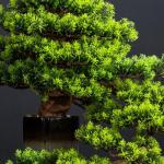 Künstlicher Bonsai-Baum 18-Zoll-künstliche Bonsai-Kiefer-Simulations-Grünpflanze-Bonsai-Indoor-Kunstpflanze im Topf, künstliche Zimmerpflanzen for den Schreibtisch, das Home-Of