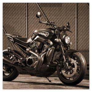 Vlies Premium Vlies Wand Art Decor 312x312cm Harley Davidson Motorrad No.H5230M_TV5BX
