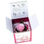 Eeuwige roos in glas met rozengeur, handgemaakt, roze, echte roos in geschenkdoos, cadeau voor vrouwen, mama, geconserveerde bloem voor Kerstmis, Valentijnsdag, Moederdag, decorati