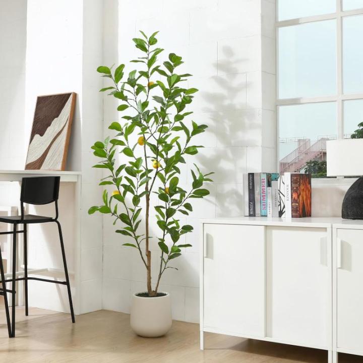 Citroenboom, , 180 cm, grote citroenboom met levensechte vruchten in witte pot, als echt voor moderne decoratie (1 stuks)