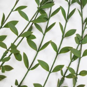 Ontwerp kunstmatige hangende varenplanten