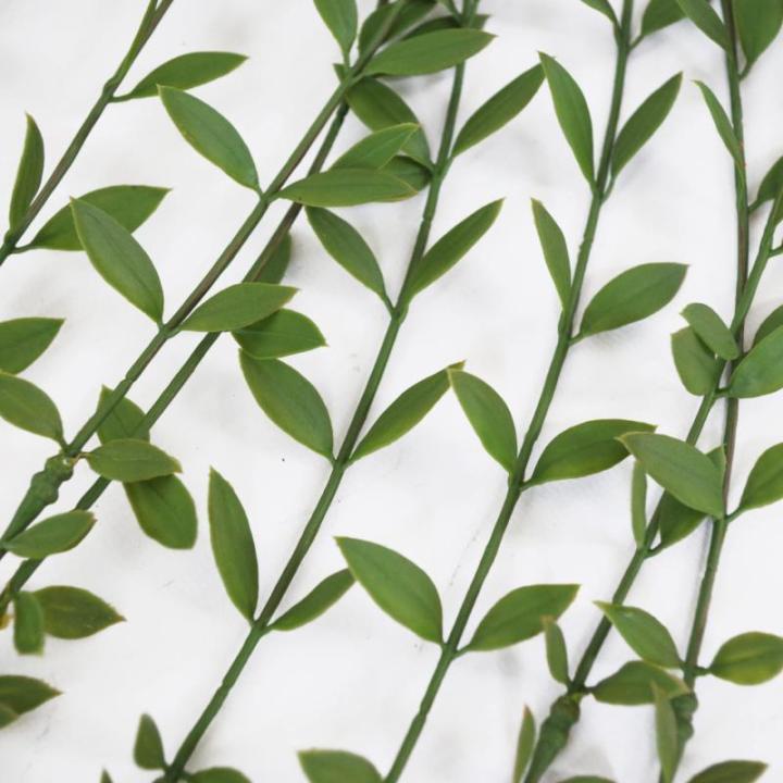 Ontwerp kunstmatige hangende varenplanten