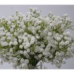 Kunstmatige sluierkruid, 12 witte boeketten kunstgypsophila boeketten bloemenarrangement decoratie