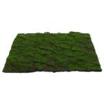 3St Simulierter Moosrasen Graswand Bonsai Dekoration Rasenersatz Grasmatte Wanddekoration rasenmatte Kunstrasenfliesen Terrassenfliesen künstliche grüne Wand Kunstrasenwand Tufte