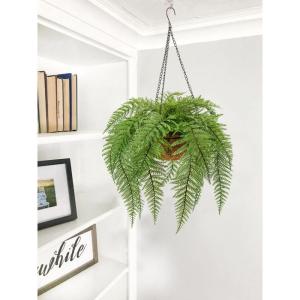 varenplanten, bonston varen, hangplant, kunstvaren, als echt voor muur, keuken, veranda, hangmand, decoratie, met hanghanger