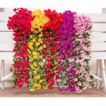 , blauweregen, aan de muur, hangende bloemen, voor bruiloften, thuis, tuin, feest