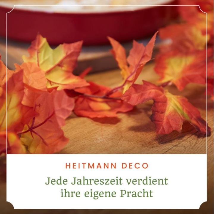 Brauns Heitmann Slinger