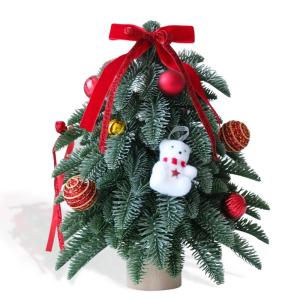 Kleine groene kerstboom, simulatie tafelkerstboom, kleine kerstboom en doe-het-zelfdecoraties, 51 PE-tips, mini-kerstboom voor binnen en buiten, voor een feestelijke touch