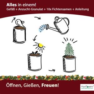 4 stuks kerstboom in doos, cadeau in instant tuining, bloemendozen, voor adventskalender Kerstmis