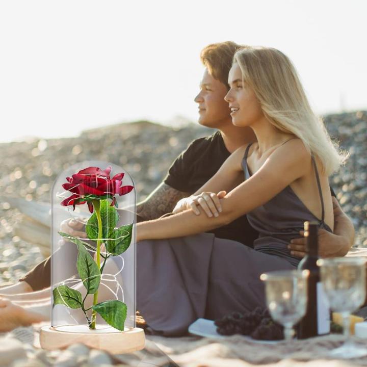 Die Beautiful and the Best Rose, eeuwige roos in transparante koepel, rozencadeau voor Moederdag, jubileum, verjaardag, Valentijnsdag, kamerdecoratie