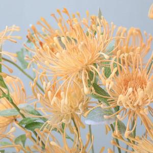 Kunstblumen Künstlicher Nadelkissenstrauß für den Innenbereich – Simulationsblumen aus Kunststoff mit Glasvase für Wohn- und Schlafzimmerdekoration für jeden Anlass
