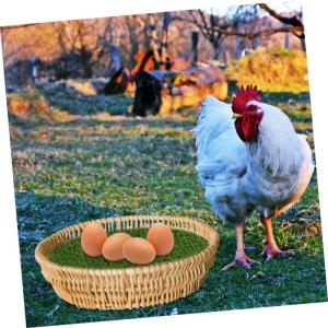 Pot voor honden, kunststrooisel, nestkastinzet, mat, grastapijt voor kippenhok, terras, gazondecoratie, puppyonderlegger, gras, draagbaar, plastic, 2 stuks