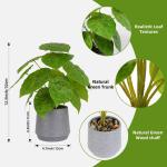 Kunstgroene plant in pot, kunstmatige vetplanten, planten in pot, 32 cm, grote groene kunstmatige plant, groen blad voor thuis, bureau, woonkamer, decoratie