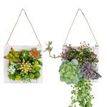 Opknoping Muur decoratieve voor Home Decor Indoor Vetplanten Planten Kunstmatige in Houten Frame 3D Groen Muur Art Decor Faux Planten voor Woonkamer Kwekerij Achtergrond (Set van 2