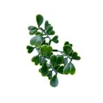 Plantenwand, , wandplanten, 50 x 50 cm, decoratie voor muur/balkon/tuin, donkergroen