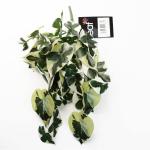 Ontwerp kunstmatige hangende planten