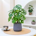 Kunstgroene plant in pot, kunstmatige vetplanten, planten in pot, 32 cm, grote groene kunstmatige plant, groen blad voor thuis, bureau, woonkamer, decoratie