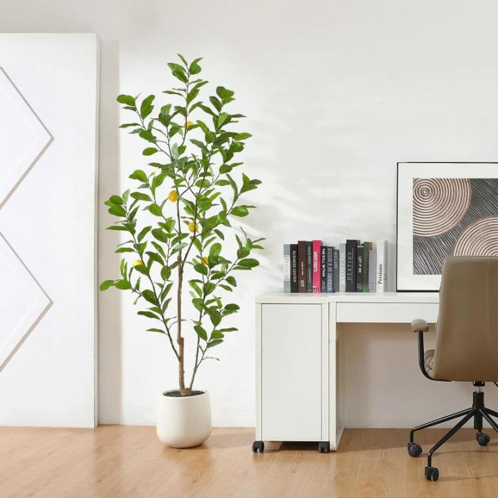 Citroenboom, , 180 cm, grote citroenboom met levensechte vruchten in witte pot, als echt voor moderne decoratie (1 stuks)