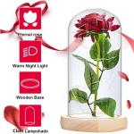 Die Beautiful and the Best Rose, eeuwige roos in transparante koepel, rozencadeau voor Moederdag, jubileum, verjaardag, Valentijnsdag, kamerdecoratie